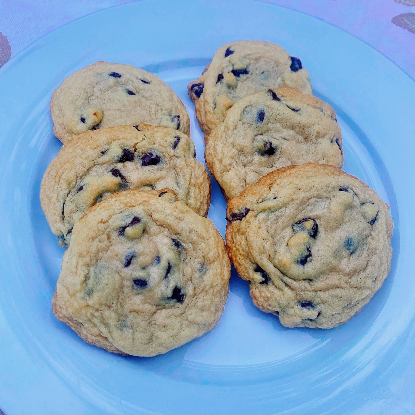 chocolate cookie photography 